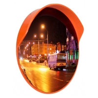 Купить Зеркало сферическое с козырьком ЗС-600 в 