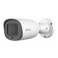 Купить BL-852Q38A-LP в 