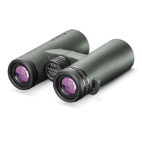 Бинокль Hawke Frontier APO 8x42 (Green)