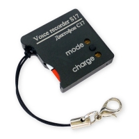 Купить Миниатюрный диктофон 