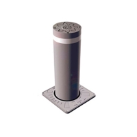 Купить Выдвижной столб FB 60 в 