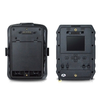 Фотоловушка «Falcon MMS 110 3G»