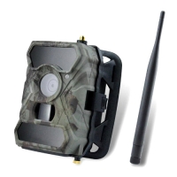 Купить Фотоловушка «Falcon MMS 110 3G» в 