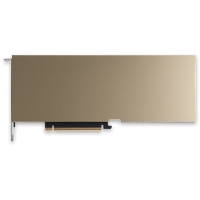 NVIDIA Tesla L20 48GB 900-2G133-00A0-000 Видеокарта