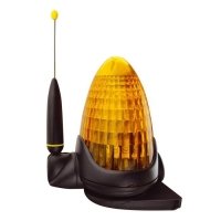 Купить NICE LUCYB в 