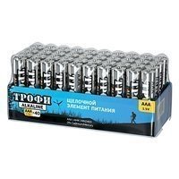 Купить Трофи LR03-40 bulk (40/960/69120) в 