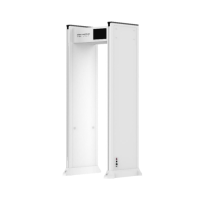 Купить Интеллектуальный арочный металлодетектор  DHI-ISC-D745 в Москве с доставкой по всей России