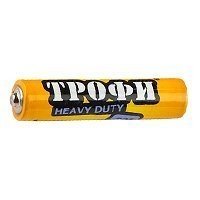 Купить Трофи R03 bulk HEAVY DUTY (500/1500/63000) в 