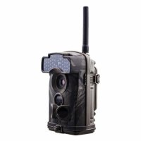 Купить Фотоловушка Acorn LTL-6310MG в 