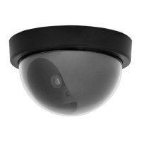 Купить ProConnect муляж внутренней купольной камеры видеонаблюдения черного цвета с мигающим красным светодиодом в Москве с доставкой по всей России