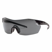 Купить Тактические очки Smith Optics PIVLOCK V2 ELITE MAX PMTPCGYBK в 