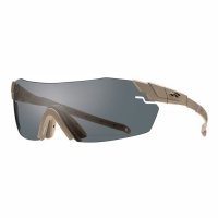 Купить Тактические очки Smith Optics PIVLOCK ECHO PVEPCGYIGT499 в 
