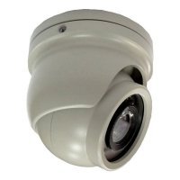 Купить Купольная видеокамера EverFocus ACE04SCI110EH (2,98) в 