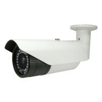 Купить Уличная видеокамера EverFocus ACE1303EHV1F0650 в 