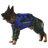 Купить «НОРД-С» в 