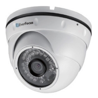 Купить Купольная IP-камера EverFocus EBN268 в 