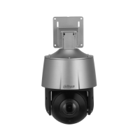 Купить DH-SD3A205-GNP-PV в 