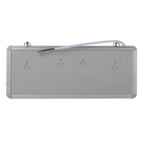 Аварийный светильник ЭРА SSA-101-0-20 светодиодный 3ч 3Вт без текста стикер 358х145 мм