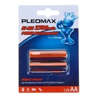 Купить Samsung Pleomax HR06-2BL 2700MAH (16/432/17280) в 