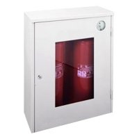 Купить Пожарный шкаф ШПО-113 НОБ в 