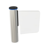 Купить CAME WING GL (001PSWNG4GL1) в 