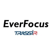 Купить Trassir и IP-камеры EverFocus в Москве с доставкой по всей России