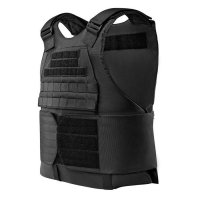 Купить Бронежилет Сегмент-3 (1 размер) в 