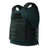 Купить Бронежилет Сегмент-3 арамид+бронесталь (1 размер) в 