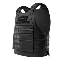 Купить Бронежилет Сегмент-2 (1 размер) в 