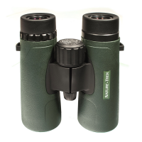 Купить Бинокль Hawke Nature Trek 10x42 (Green) в 