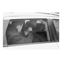 Купить Телевизионная система 