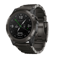 Купить Навигатор туристический Garmin D2 Delta PX в 