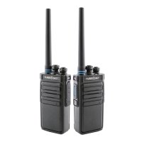 Купить Комплект раций Turbosky T6x2 в 