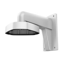 Купить DS-1273ZJ-DM25 в 