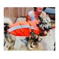 Защитный жилет для собак (корпус+лапы)