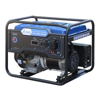 Купить Бензогенератор TSS SGG 5000N в 