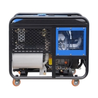 Дизель генератор TSS SDG 10000EHA