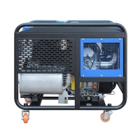 Дизель генератор TSS SDG 10000EH3A