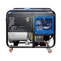 Дизель генератор TSS SDG 10000EH3UА