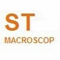 Купить MACROSCOP Лицензия ST (х86) в Москве с доставкой по всей России