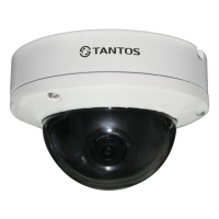 Купить Купольная IP-камера Tantos TSi-Dle21FP (3.6) в 