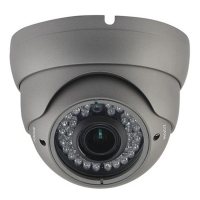 Купить Купольная AHD видеокамера Praxis PE-6111AHD 2.8-12 в 