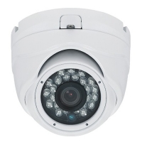 Купить Купольная AHD видеокамера Praxis PE-6111AHD 3.6 в 