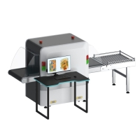 Рентгенотелевизионный интроскоп NUCTECH CX6040BI