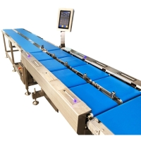 Многоступенчатый Линейный Весовой Дозатор MHW-P8