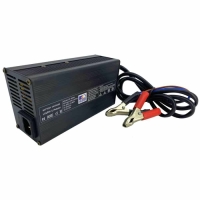Аккумулятор LifePO4 12V100ah с зарядным устройством
