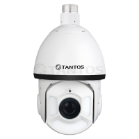 Купить Поворотная IP-камера Tantos TSi-SDW231Z22 в 