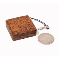 Купить Диктофон EDIC-mini Tiny A61w в 