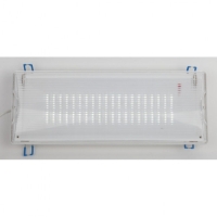 Аварийный светильник светодиодный ЭРА DPA-301-1-65 постоянный 40LED 3ч IP65