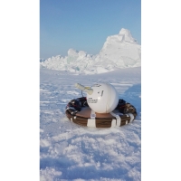 Купить Термопрофилирующие дрейфующие буи iceBTC2/40, iceBTC5/40, SVP-BTC100/40 в 